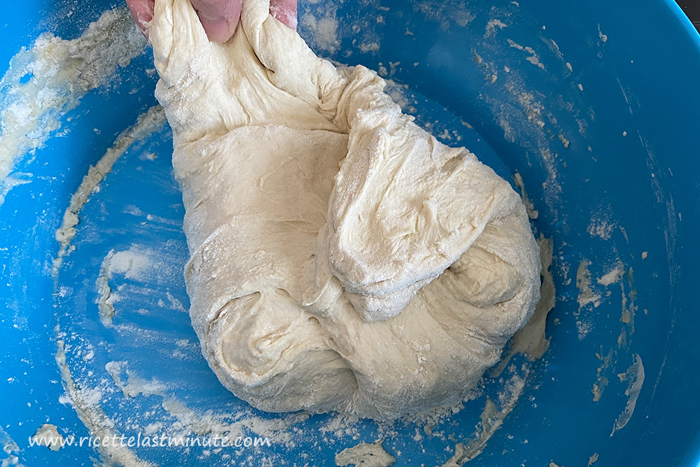 Fold the dough several times on itself