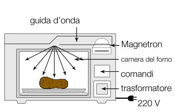 Come funziona un forno a microonde