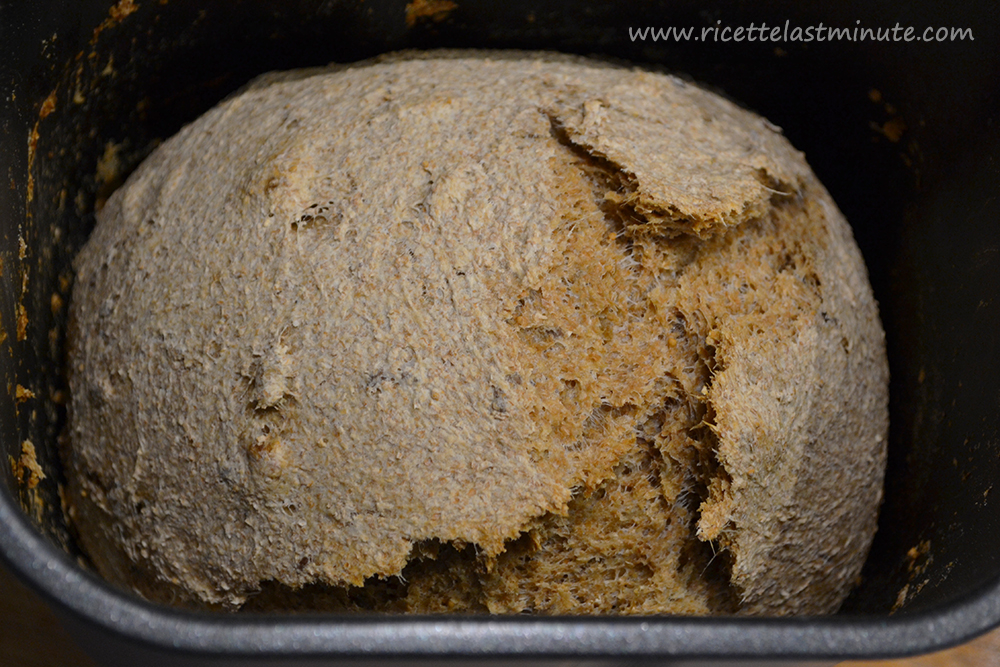 Pane integrale con semi e fichi secchi cotto dentro la macchina del pane